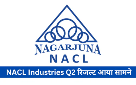 NACL इंडस्ट्रीज Q2 रिजल्ट में दिखे जबरदस्त मुनाफे ने निवेशकों का खींचा ध्यान जानें क्या रहा रिजल्ट