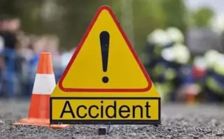 राजस्थान के नागौर में भीषण सड़क हादसा, कार पलटने से 2 की मौत, 8 घायल