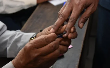 BMC Election Results 2026 Live: बीएमसी में 'महायुति' का धमाका! शुरुआती रुझानों में बीजेपी-शिंदे गठबंधन को बड़ी बढ़त; जानें ठाकरे ब्रदर्स की स्थिति