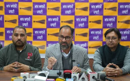 'अब पंजाब से गैंगस्टर शब्द ही मिटा देंगे', पवन टीनू ने बताया भगवंत मान सरकार का महा-प्लान; हेल्पलाइन नंबर जारी