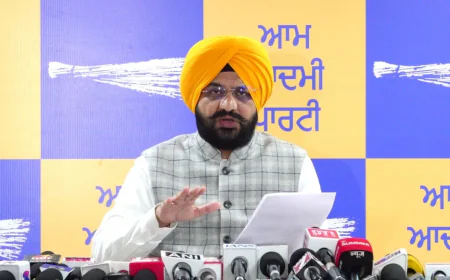 पंजाब में बनेंगे 3,100 ग्रामीण खेल मैदान, मंत्री सौंद की भ्रष्टाचार पर दो टूक- 'झूठी रिपोर्टिंग की तो खैर नहीं'