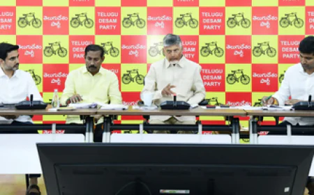 अमरावती को राजधानी की कानूनी मान्यता दिलाने के लिए संसद में आएगा बिल; पोलावरम और विशेष पैकेज पर CM नायडू का सांसदों को सख्त निर्देश