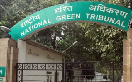 कोटा वन घोटाला: ₹25 करोड़ डकार गए अधिकारी? 2300 हेक्टेयर में पेड़ लगाने में नाकामी पर NGT सख्त, राजस्थान सरकार को नोटिस