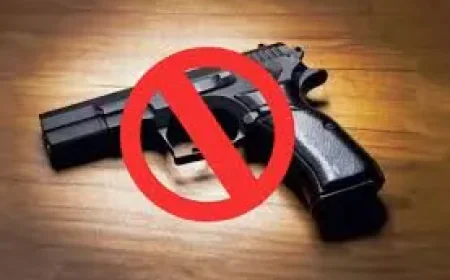 लुधियाना में हथियारों के प्रदर्शन पर 'डिजिटल' स्ट्राइक: सोशल मीडिया पर गन कल्चर दिखाया तो होगी जेल, हेट स्पीच पर भी सख्त पाबंदी
