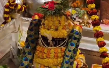 काशी में शिवरात्रि का उल्लास: बाबा विश्वनाथ का मोरपंख श्रृंगार देख मंत्रमुग्ध हुए भक्त; अब तक 40 हजार ने टेका मत्था