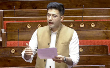 हवाई अड्डों पर महंगे खाने से मिलेगी मुक्ति? सांसद राघव चड्ढा ने संसद में उठाई यात्रियों की आवाज