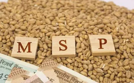 MSP पर बड़ा फैसला: खरीफ की 14 फसलों की कीमतें बढ़ीं, किसानों की आय बढ़ाने की दिशा में मोदी सरकार का बड़ा कदम