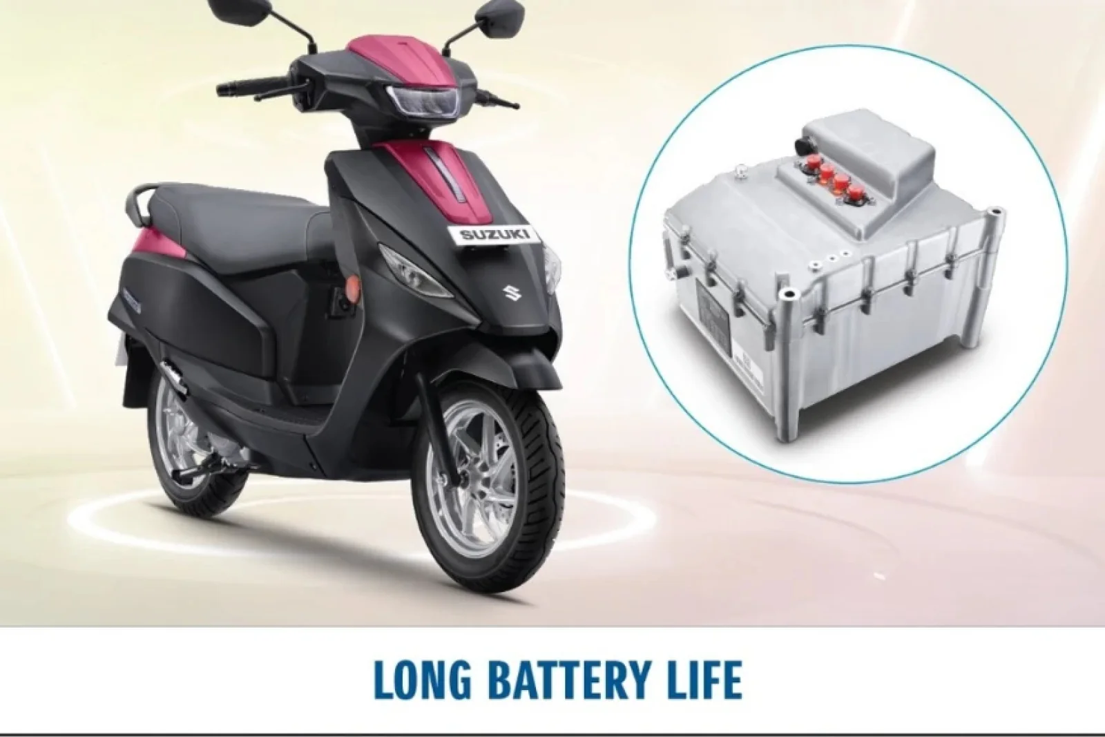 Suzuki Official Website 