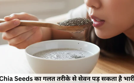 चिया बीज किसे नहीं खाना चाहिए , जानें गलत सेवन से होने वाले  नुकसान और रखे सावधानियां