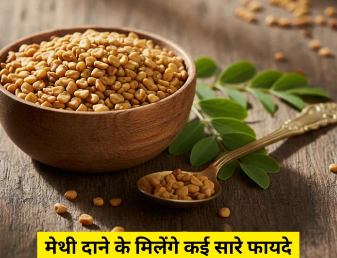 मेथी दाना खाने के फायदे सुन कर चौंक जाएंगे करें सही से यूज सेहत में आयेगा तेजी से सुधार