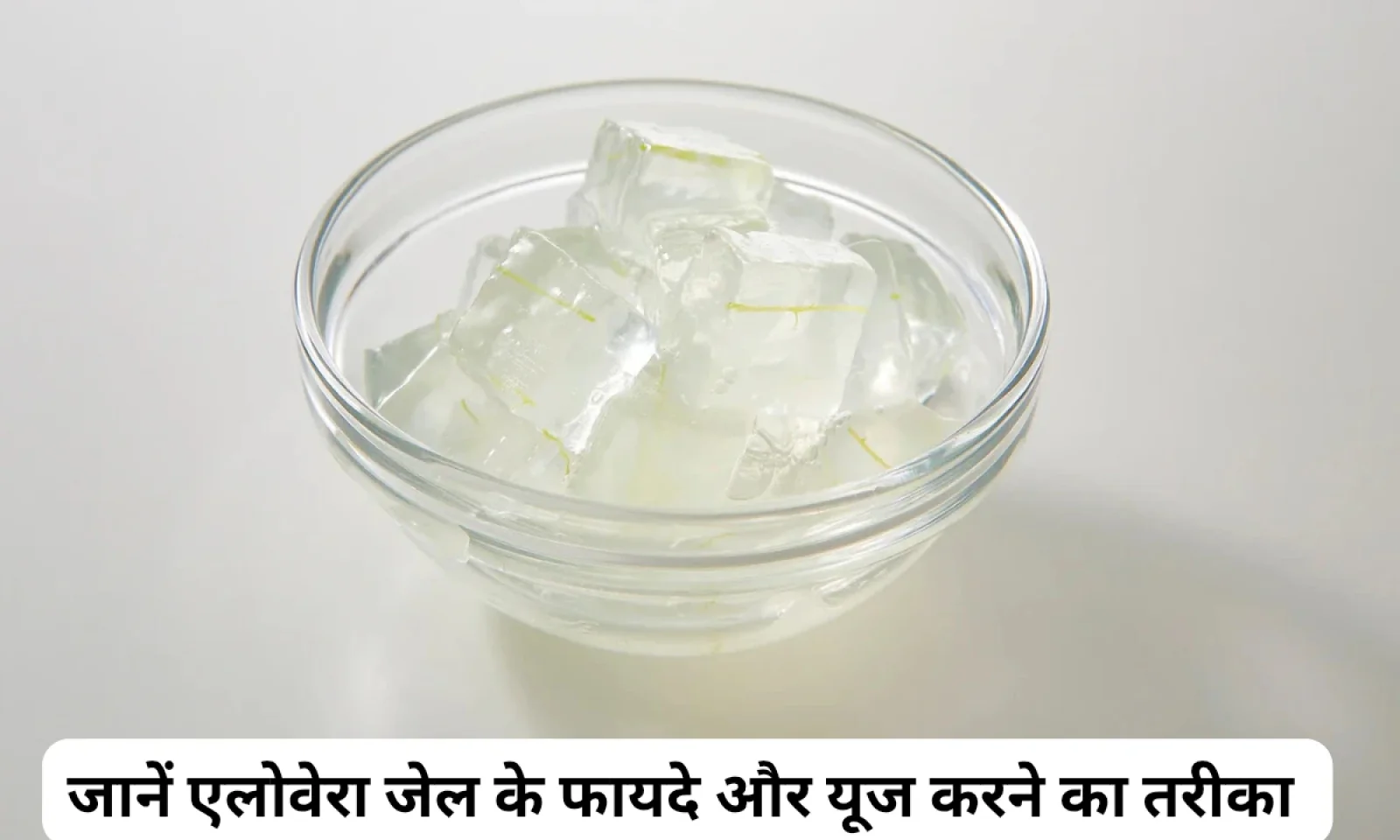 एलोवेरा सिर्फ घर नहीं बल्कि सेहत को भी रखेगा तरोताजा जानें फायदे और यूज करने का तरीका