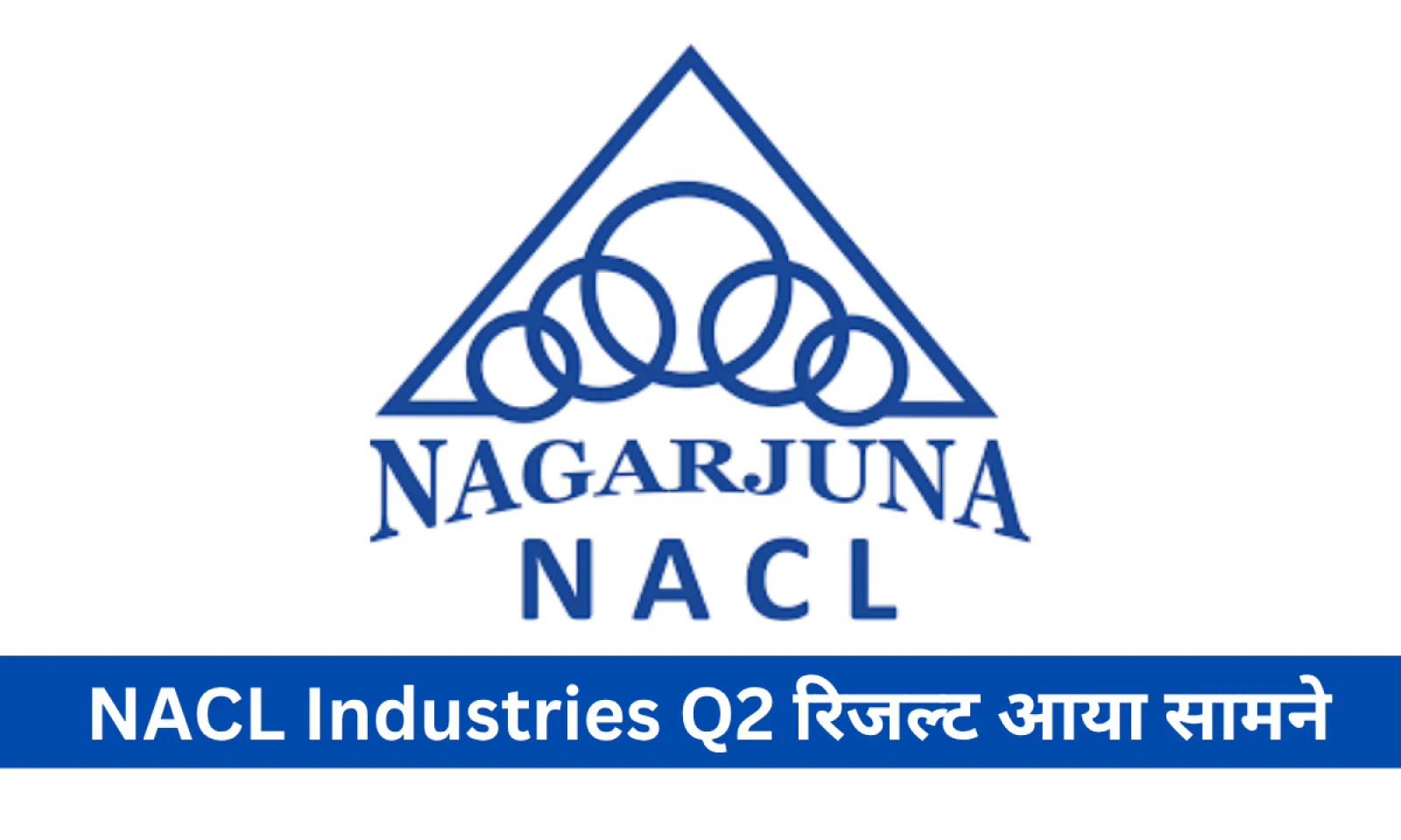 NACL इंडस्ट्रीज Q2 रिजल्ट में दिखे जबरदस्त मुनाफे ने निवेशकों का खींचा ध्यान जानें क्या रहा रिजल्ट