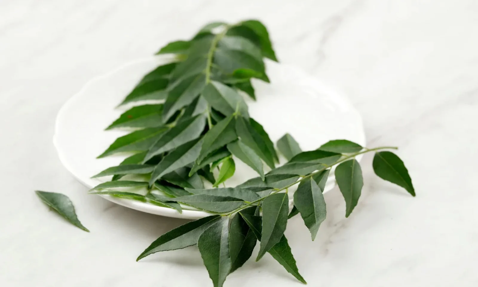 करी पत्ता खाने से होंगे कई सारे फायदे जानें इसके बेनिफिट्स और इसमें पाए जाने वाले गुण