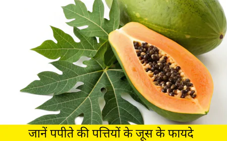 पपीते की पत्तियों का जूस बनाएगा आपको हेल्दी जानें फायदे , यूज करने का तरीका और सावधानियां