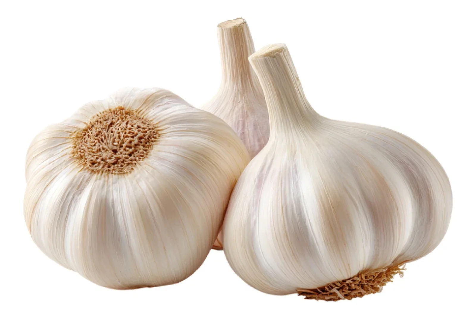 News Tv India Official 