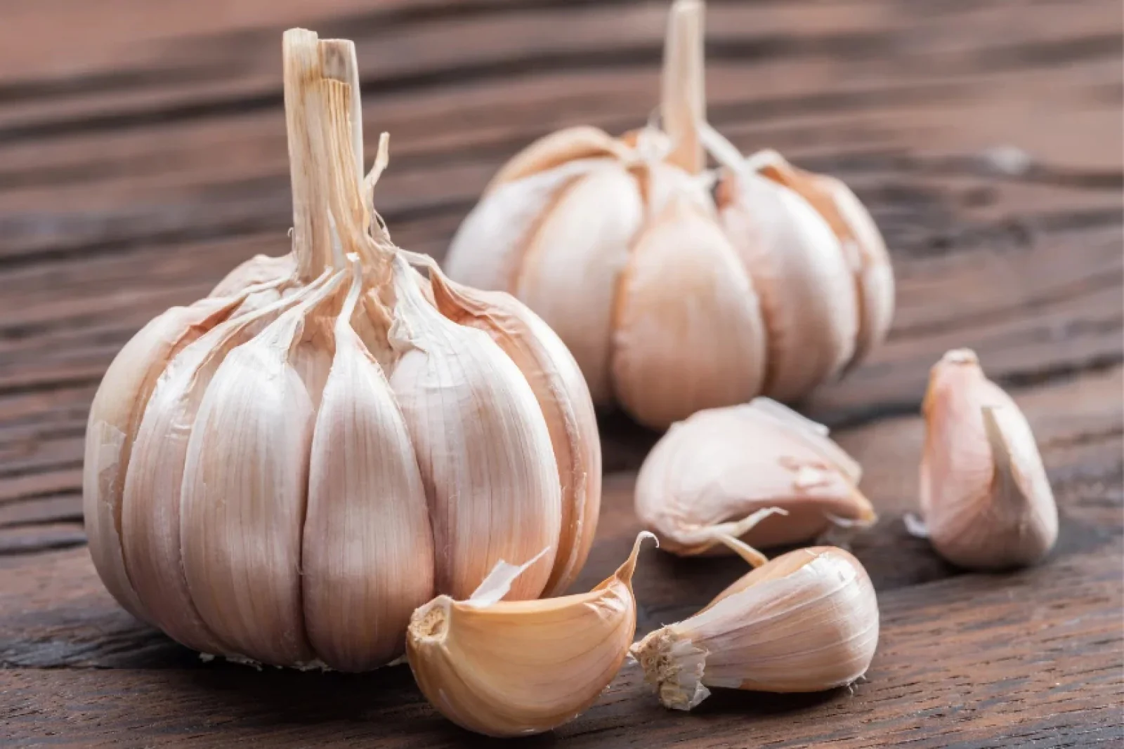 News Tv India Official 