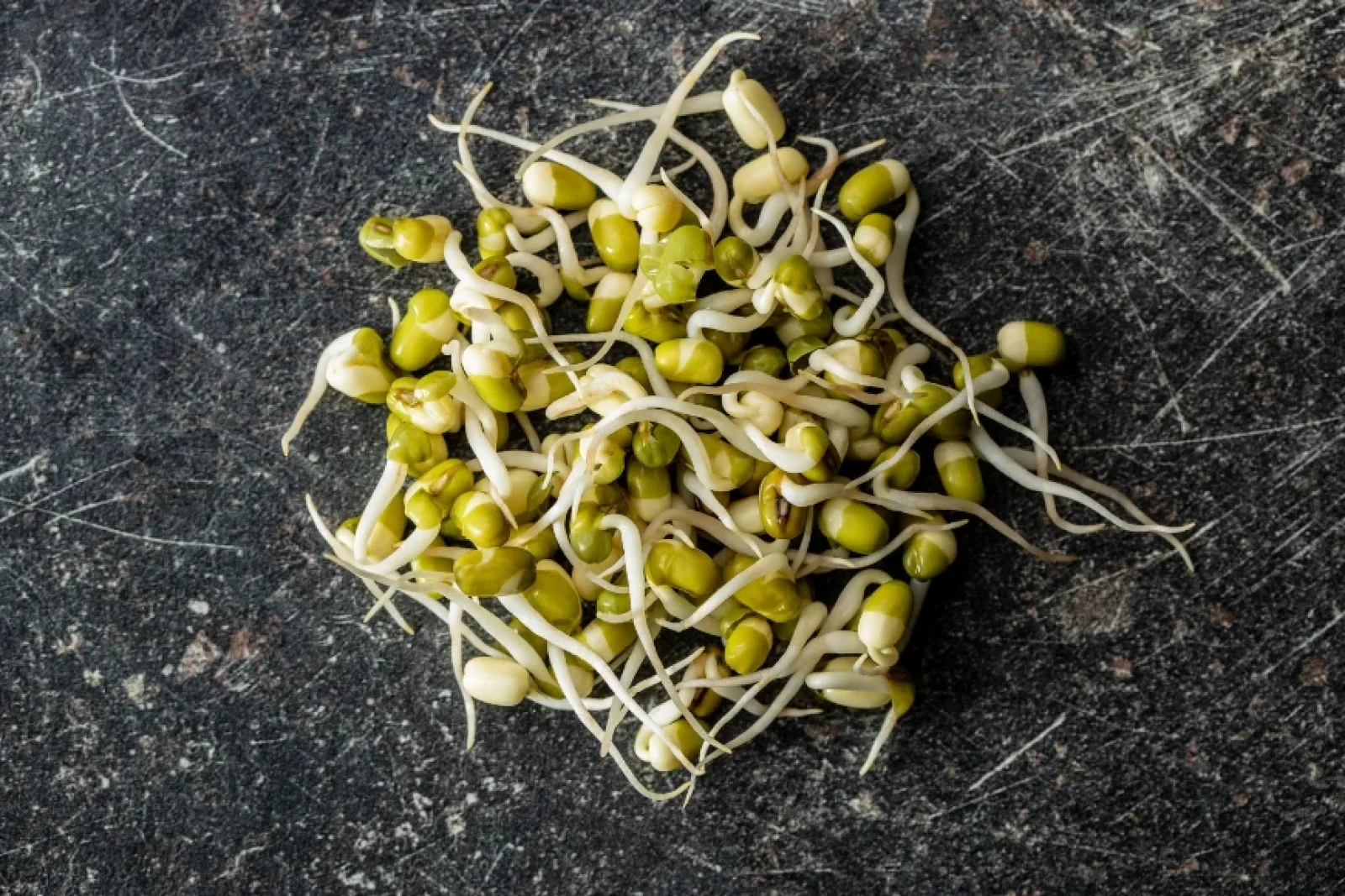 News Tv India Official 