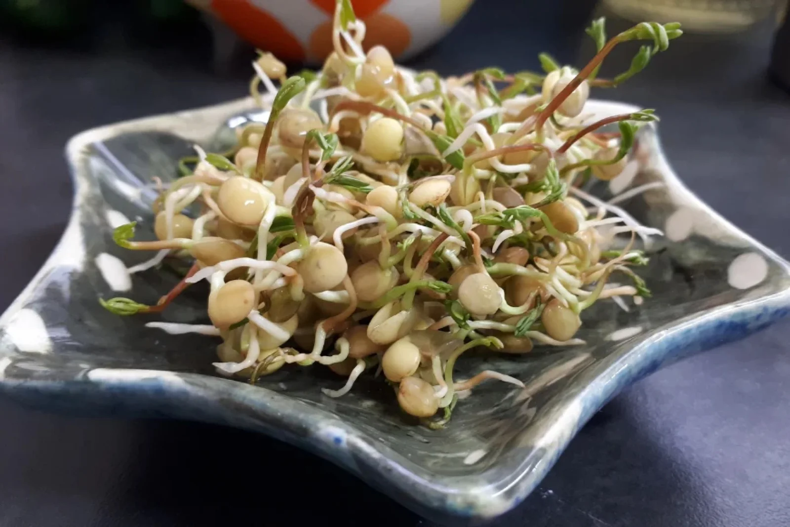 News Tv India Official 