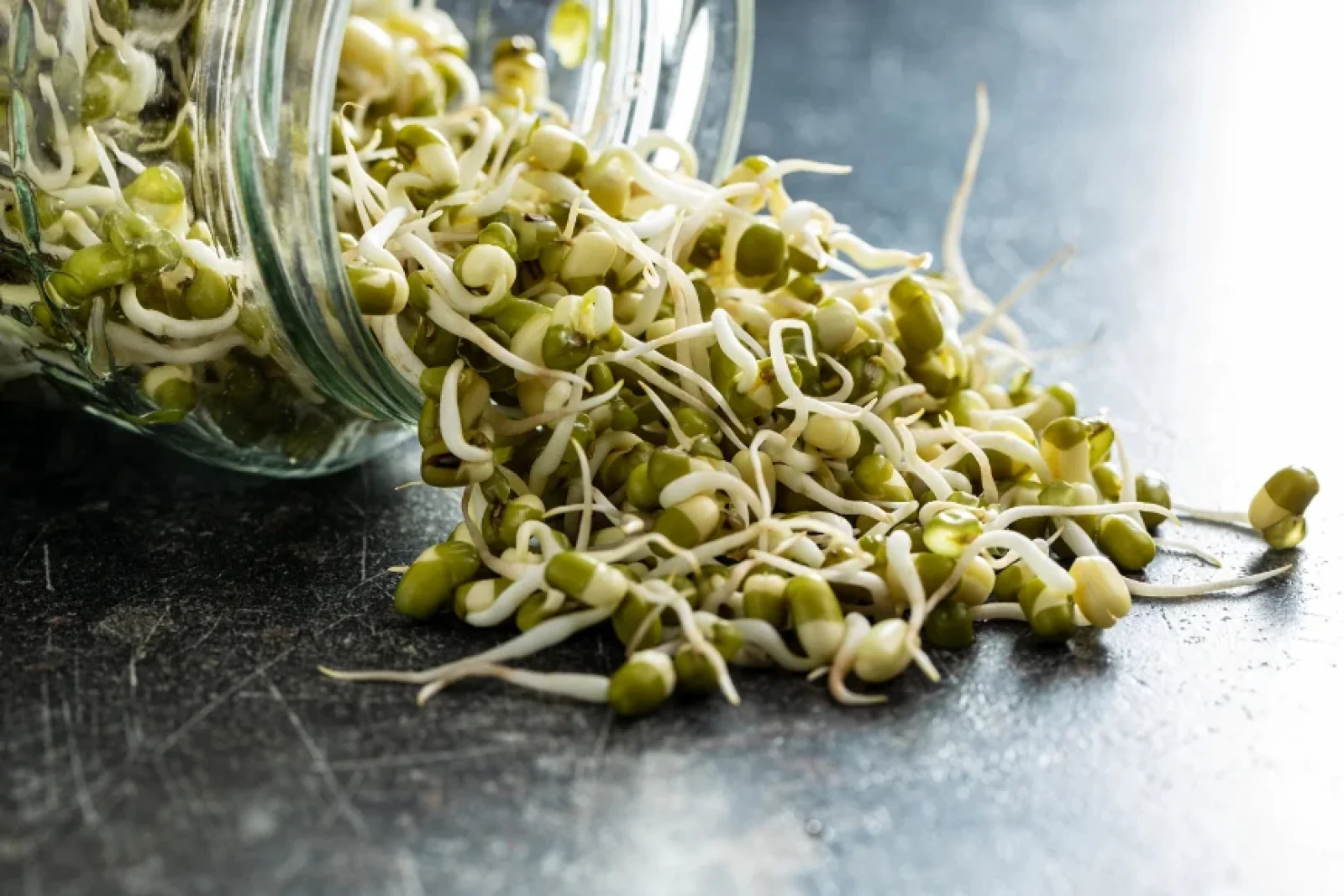 News Tv India Official 