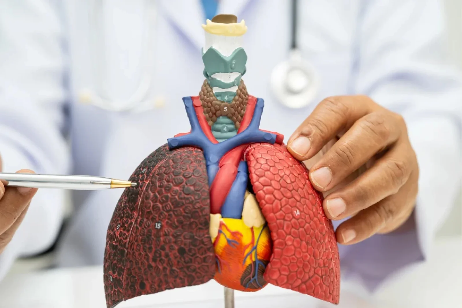 News Tv India Official 