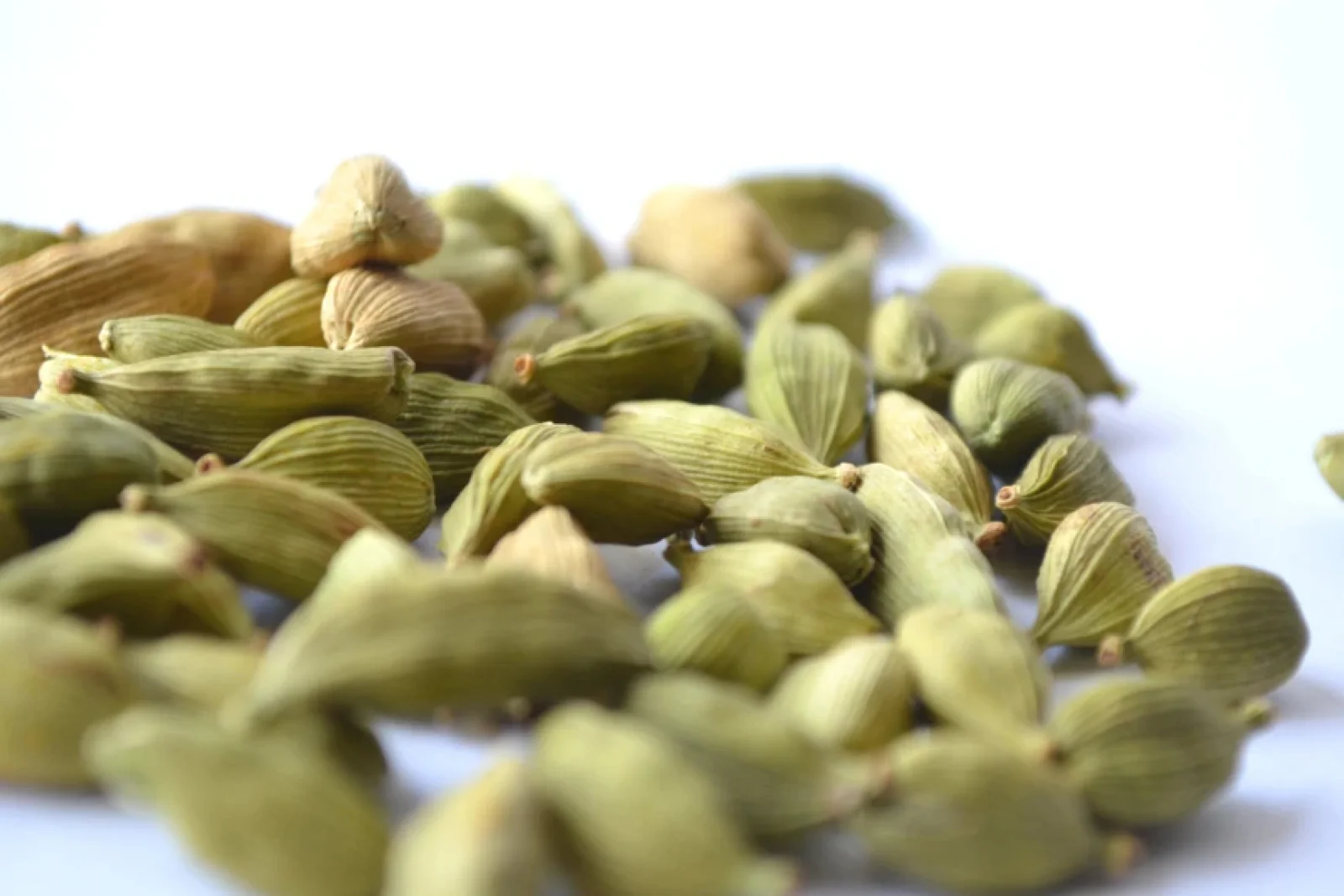 News Tv India Official 