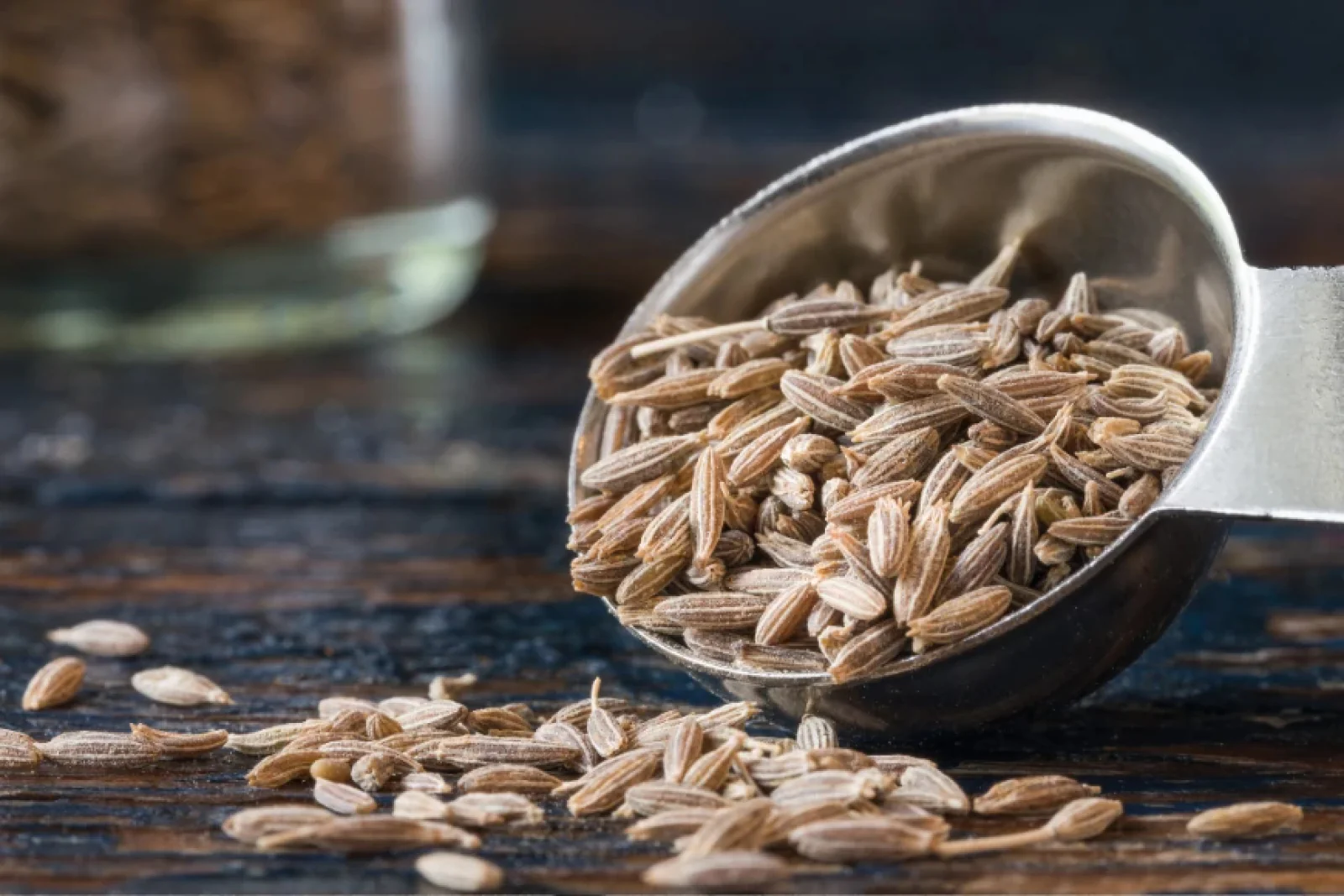 News Tv India Official 