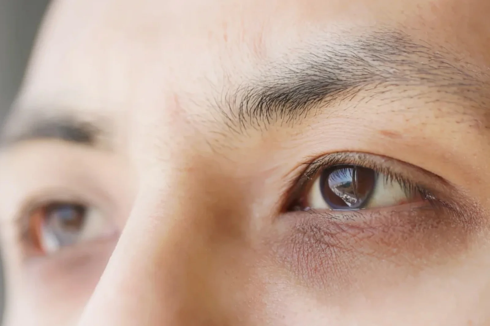 News Tv India Official 