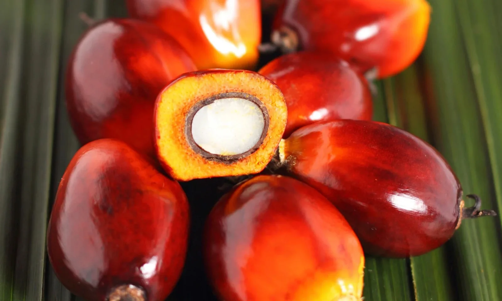 पेट से जुड़ी सभी प्रॉब्लम्स में यह फ्रूट पहुंचाएगा फायदा मिलेंगे कई सारे लाभ