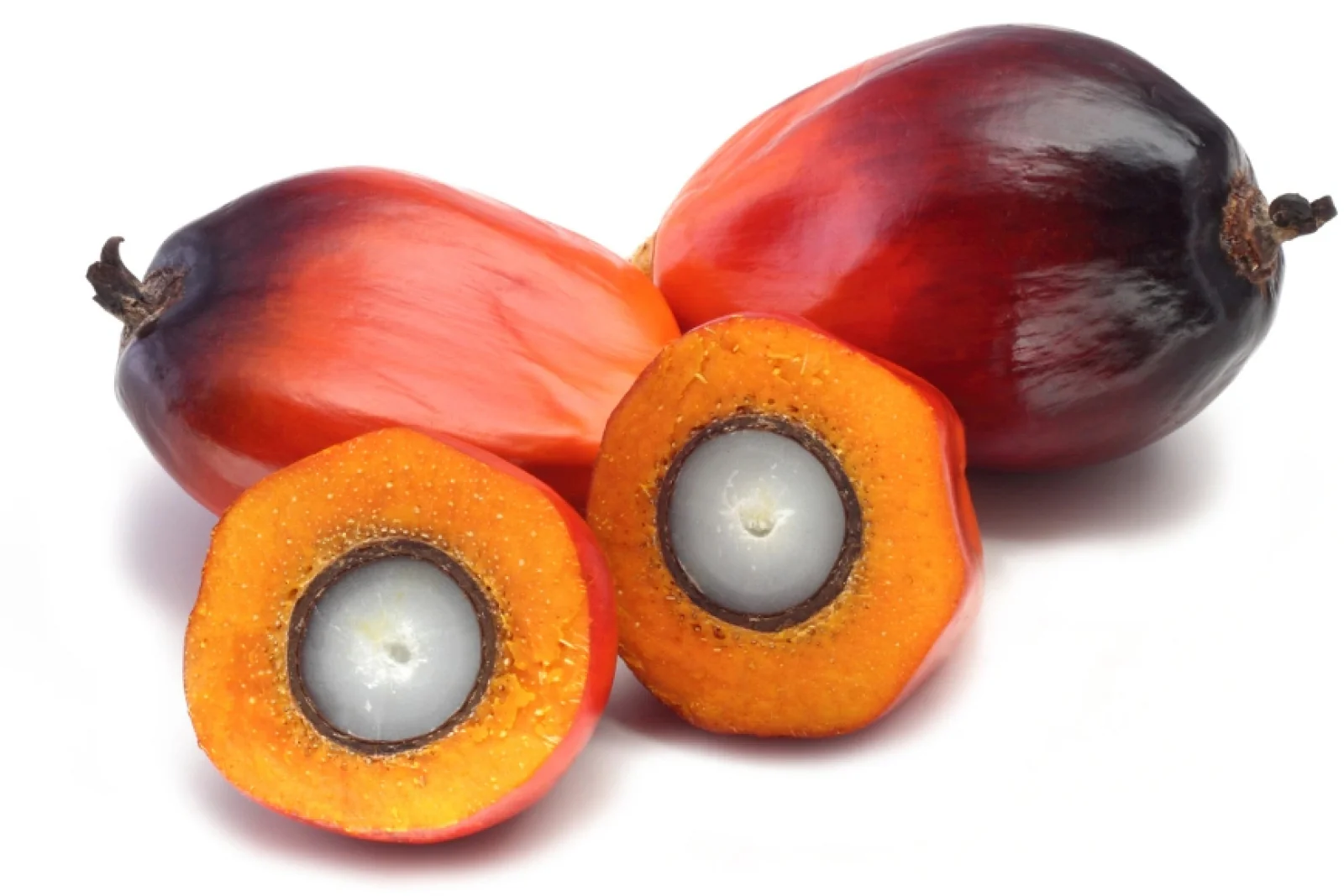 News Tv India Official 