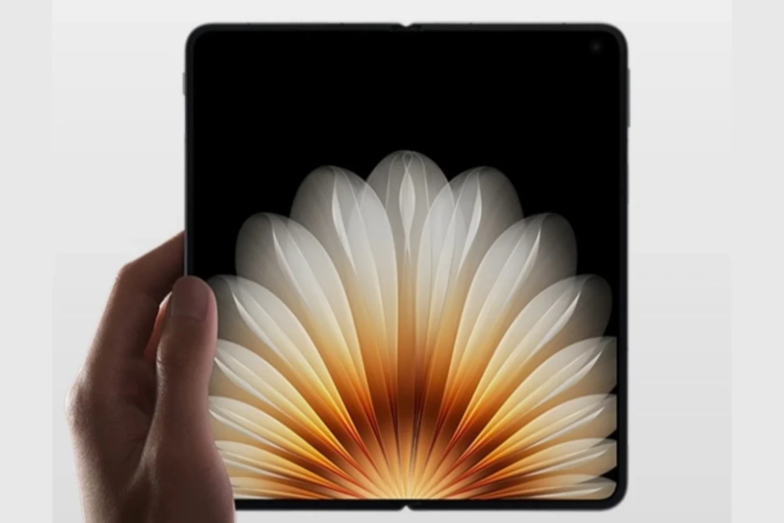 Oppo Official website 