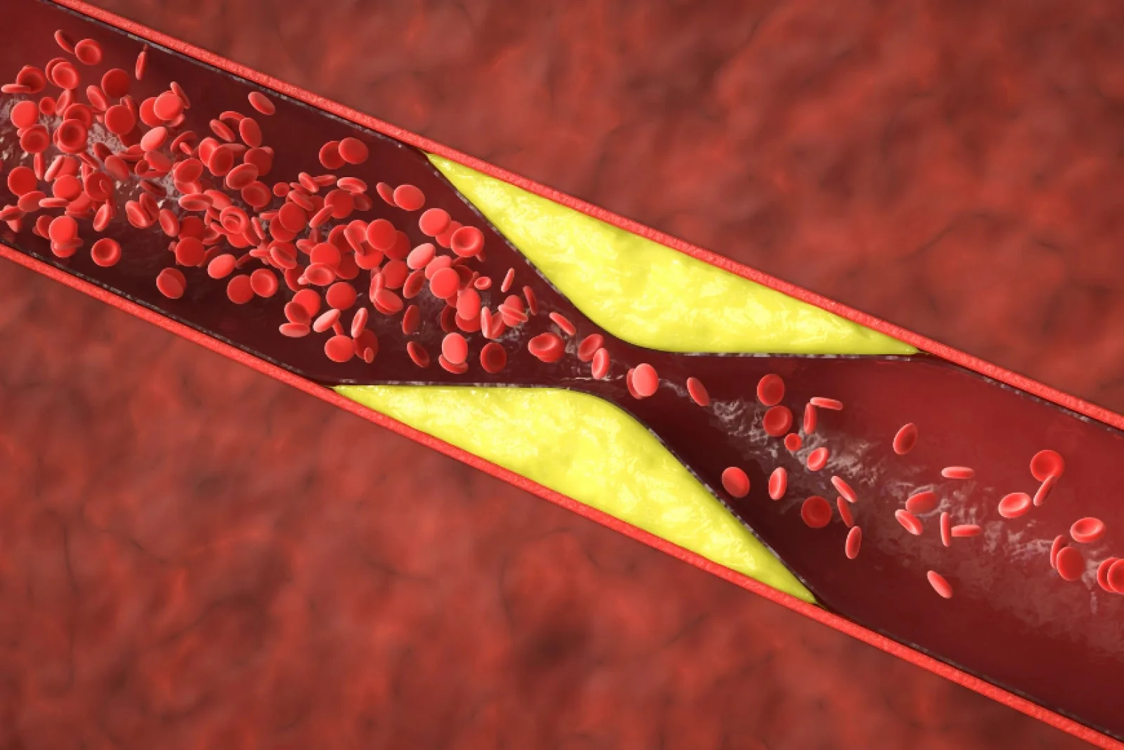 News Tv India Official 