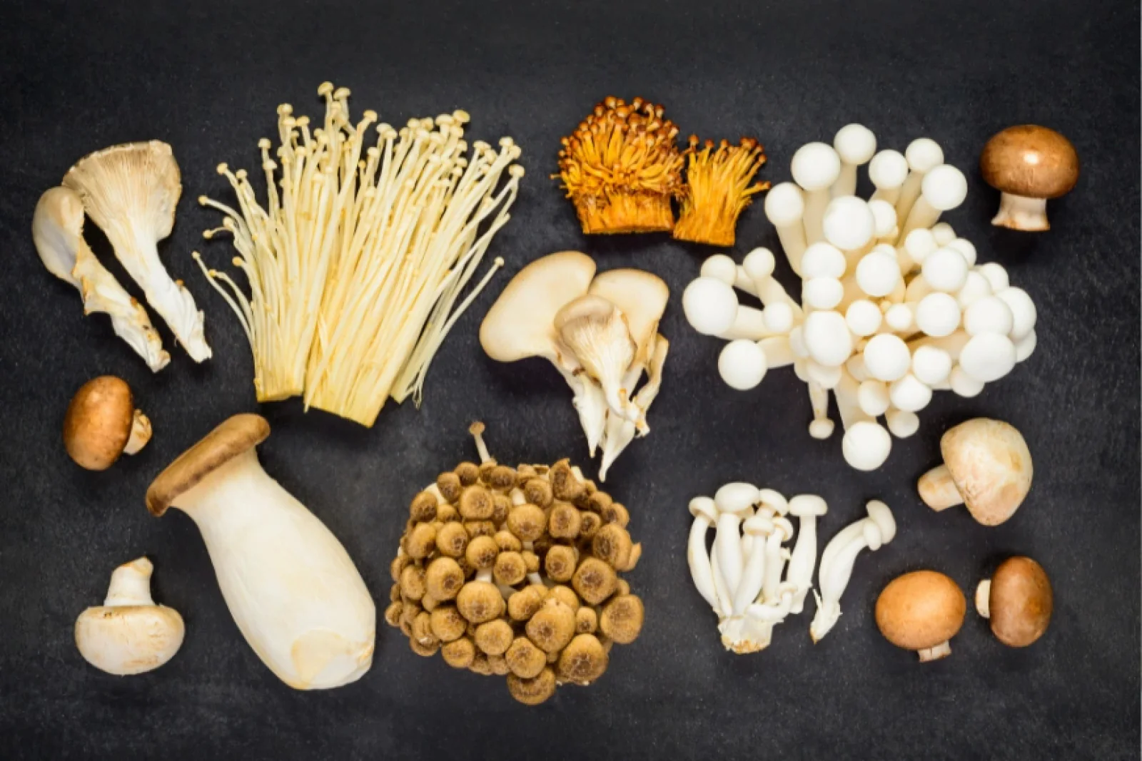 News Tv India Official 