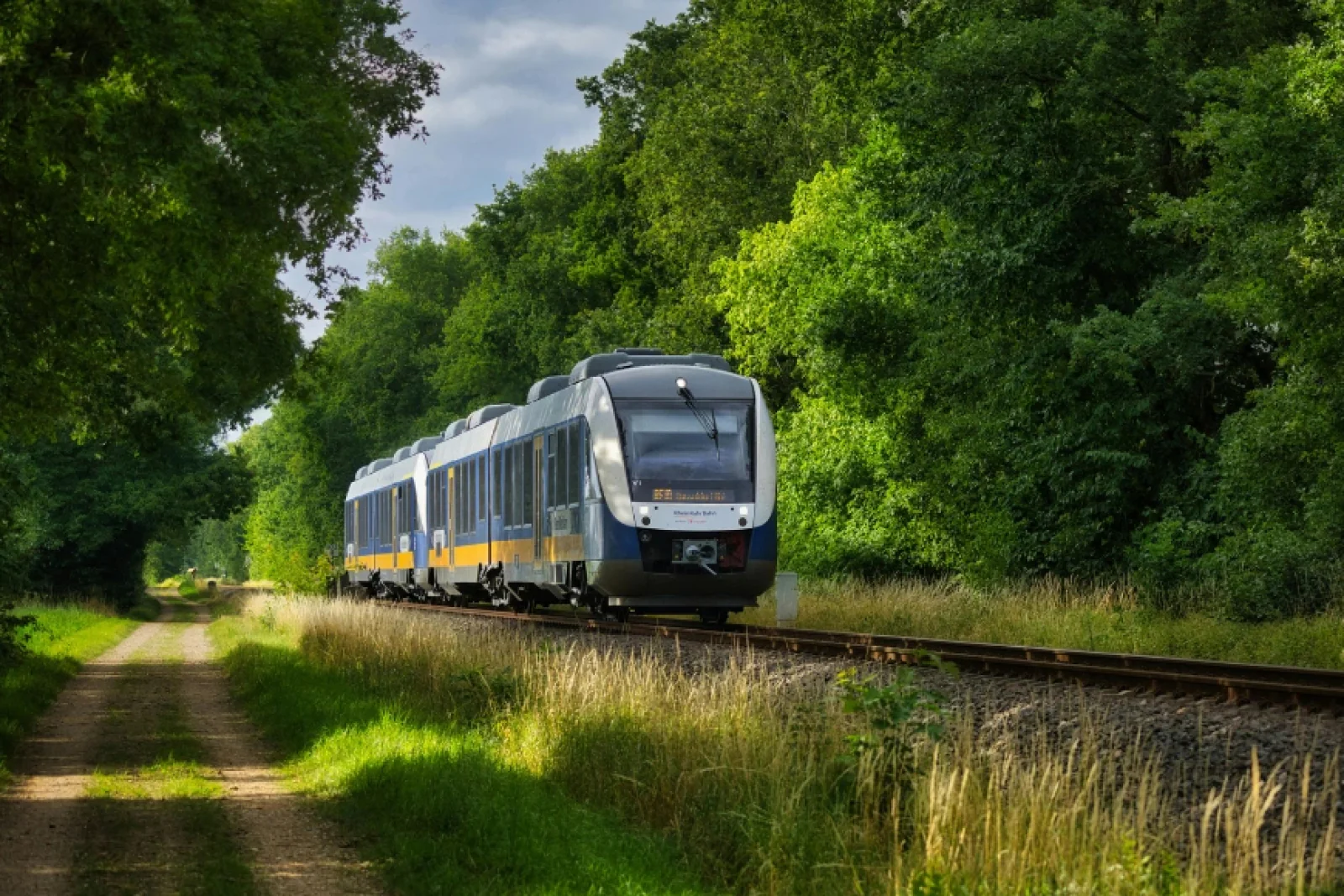 News Tv India Official 