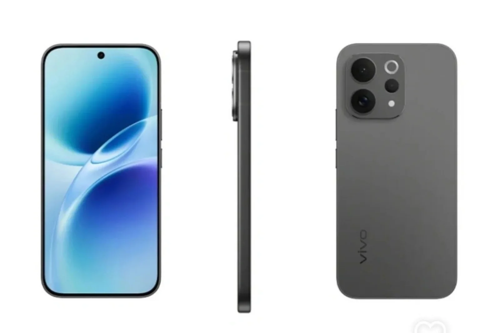 Social Media : Instagram 