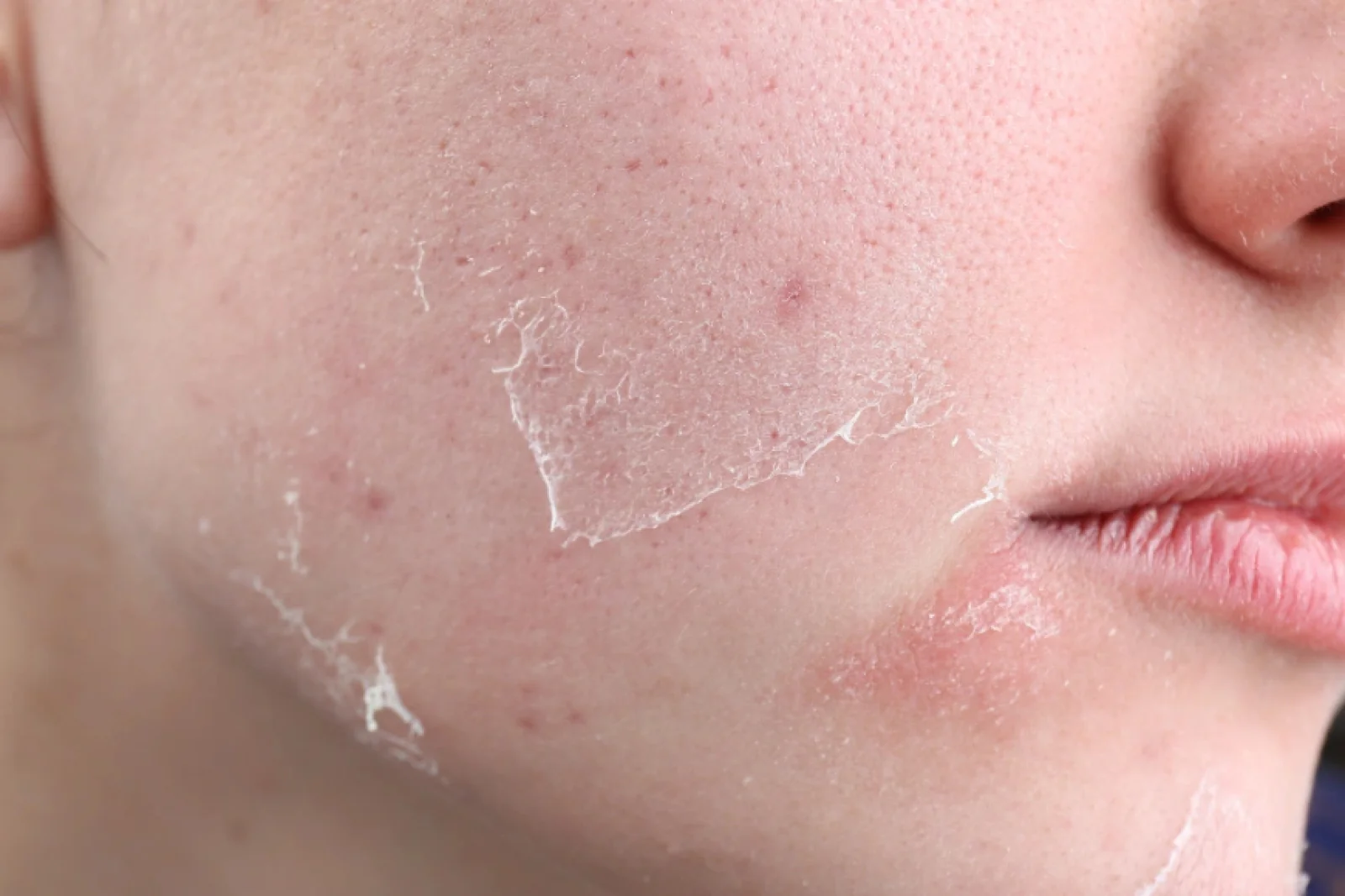 News Tv India Official 