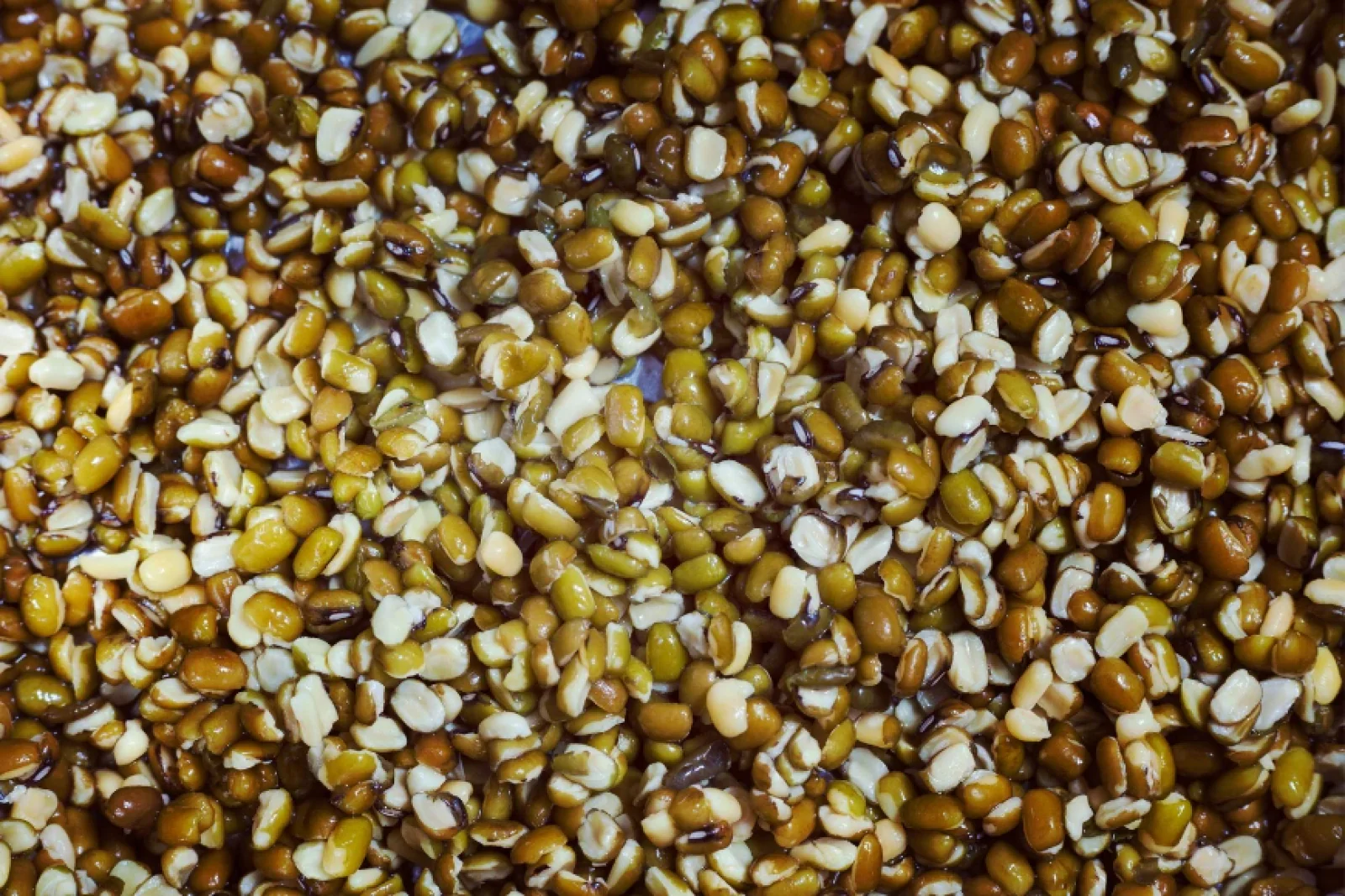 News Tv India Official 