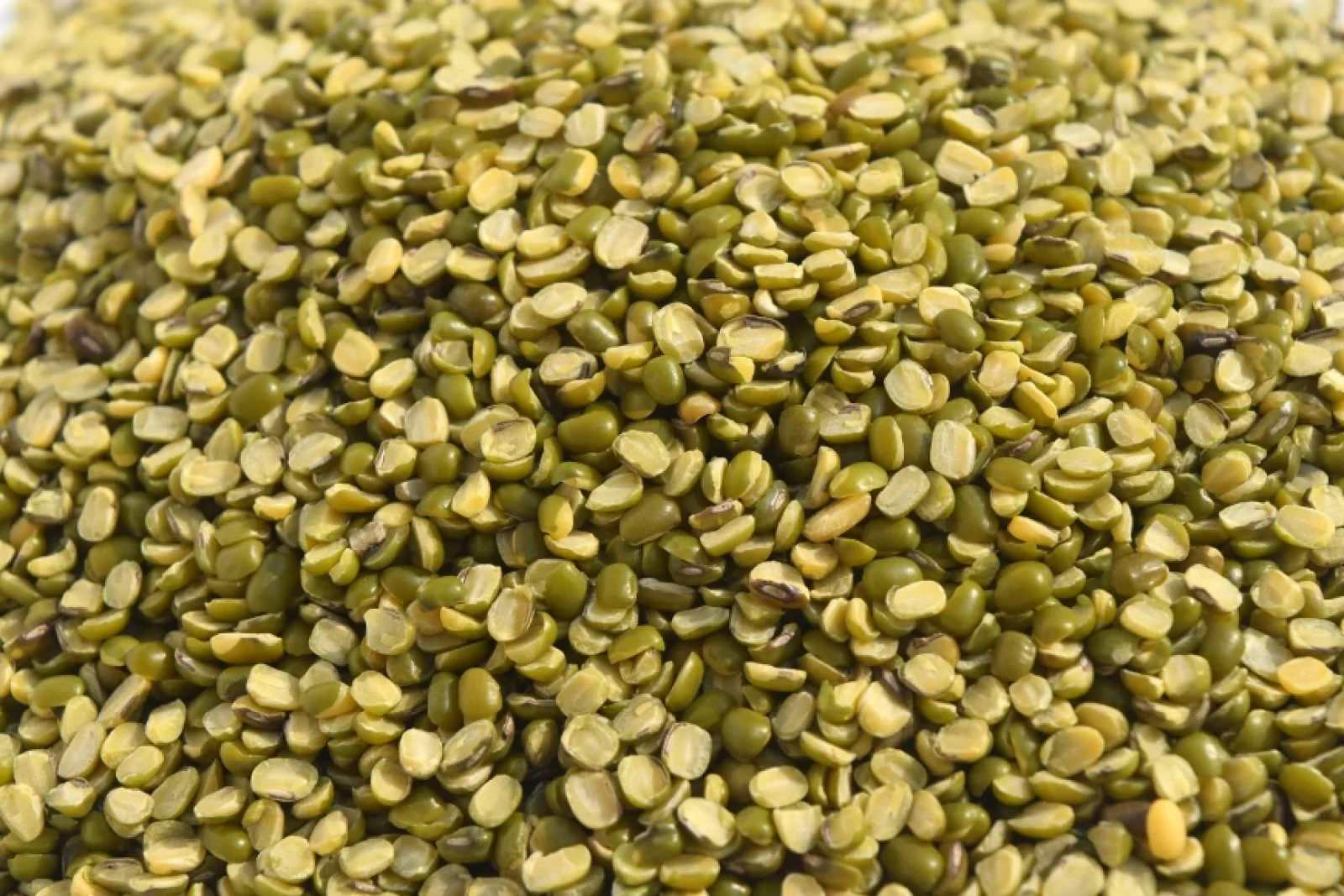 News Tv India Official 