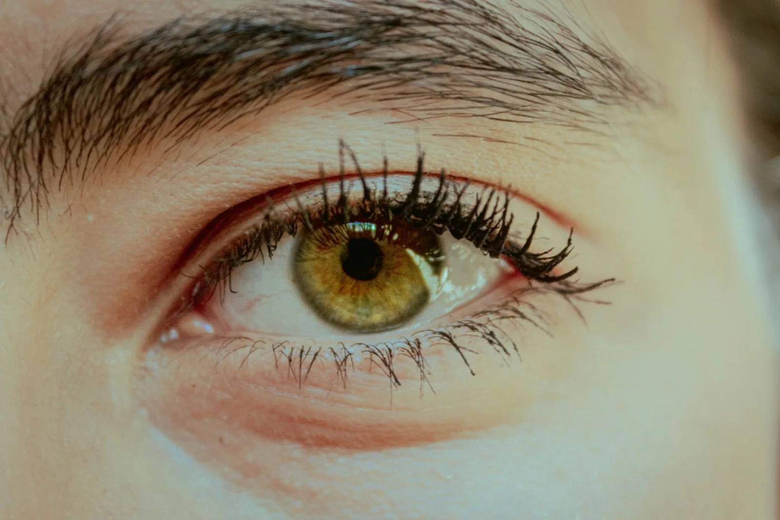 News Tv India Official 