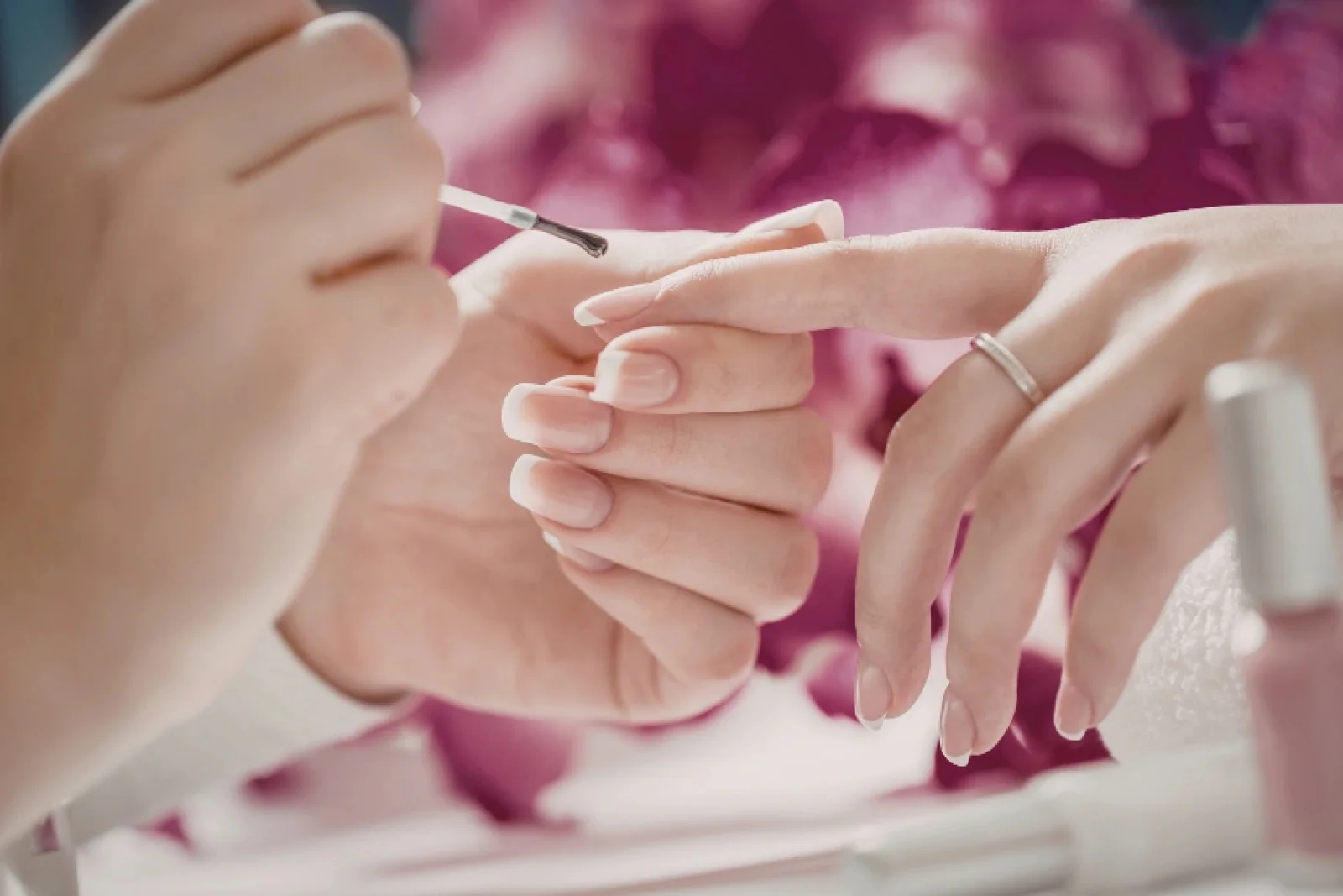 News Tv India Official 