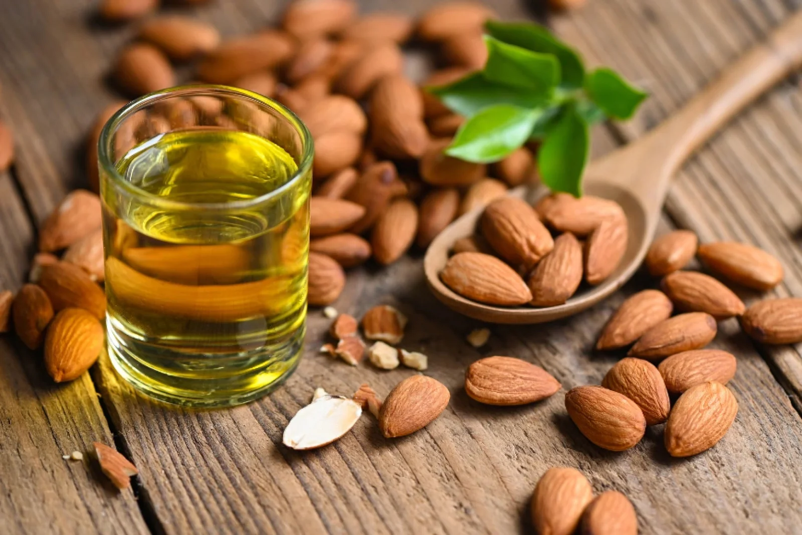 News Tv India Official 