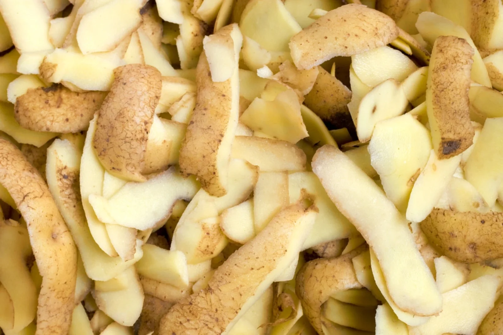 News Tv India Official 