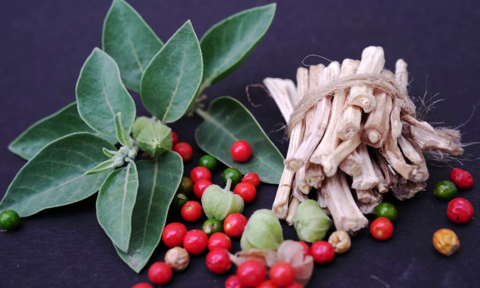 अश्वगंधा पाउडर के है कई सारे फायदे जाने खाने का तरीका और सावधानियां