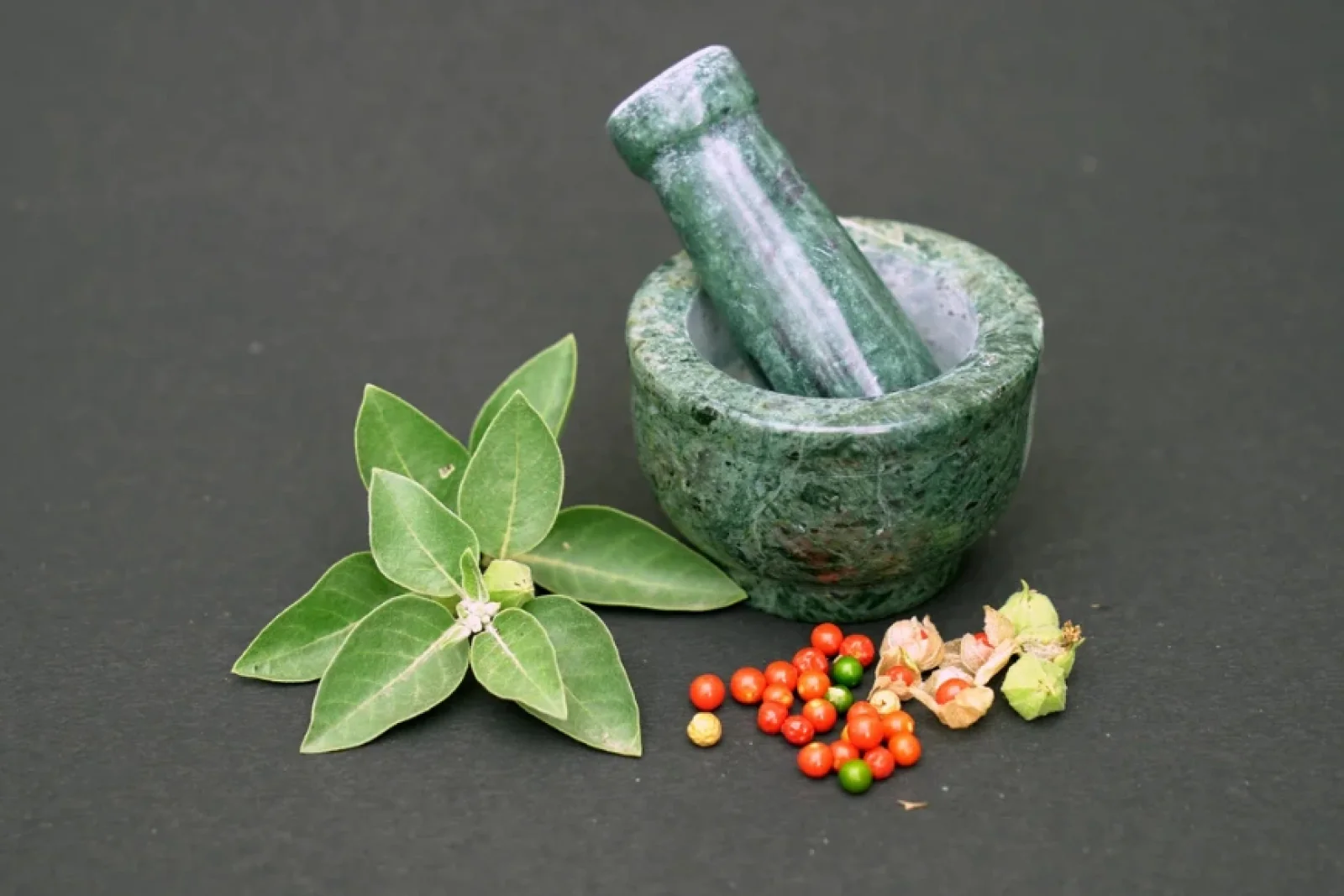 News Tv India Official 