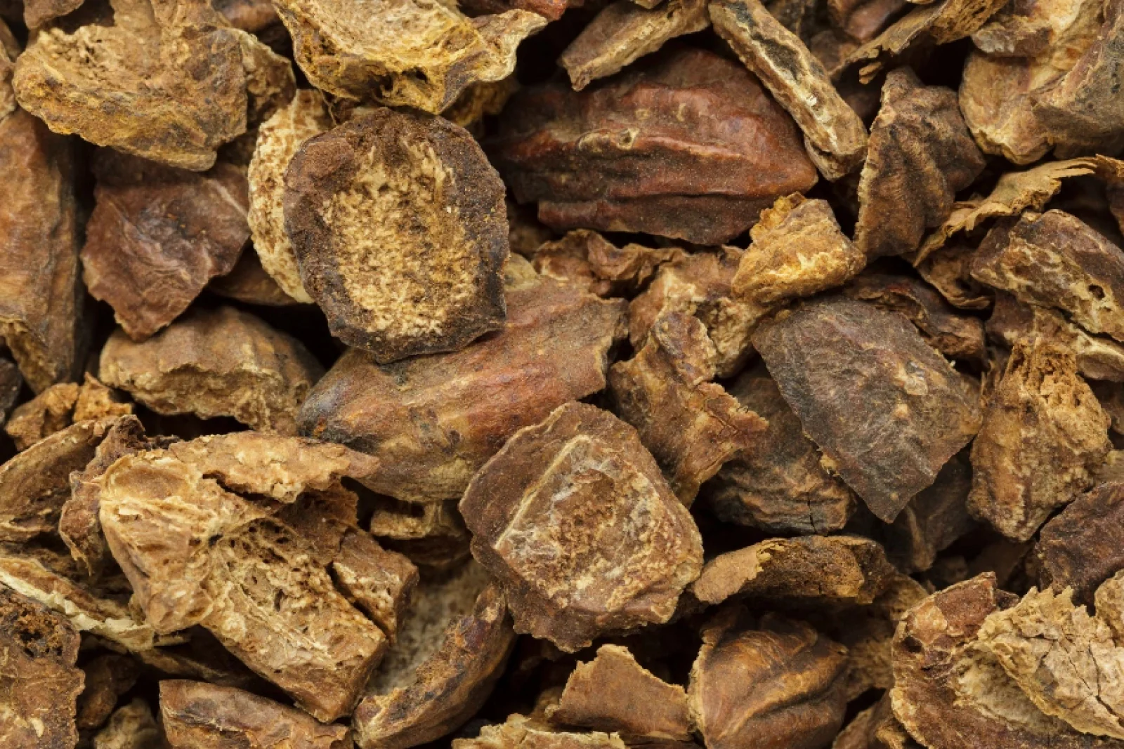 News Tv India Official 