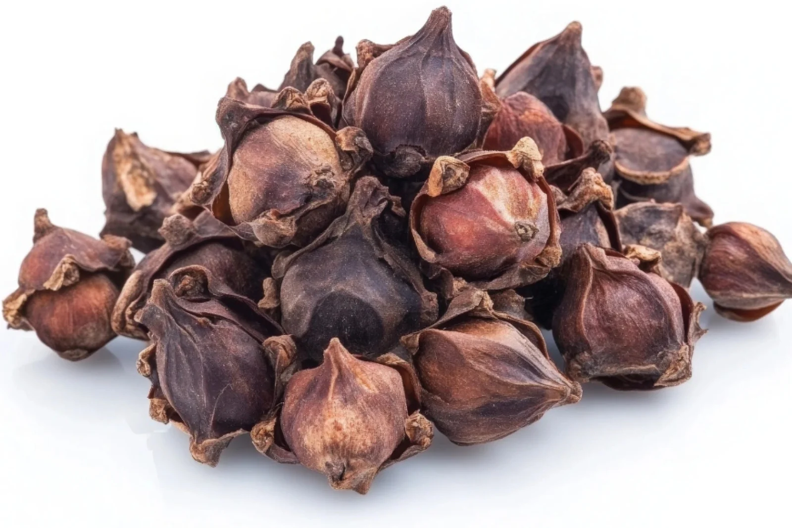 News Tv India Official 