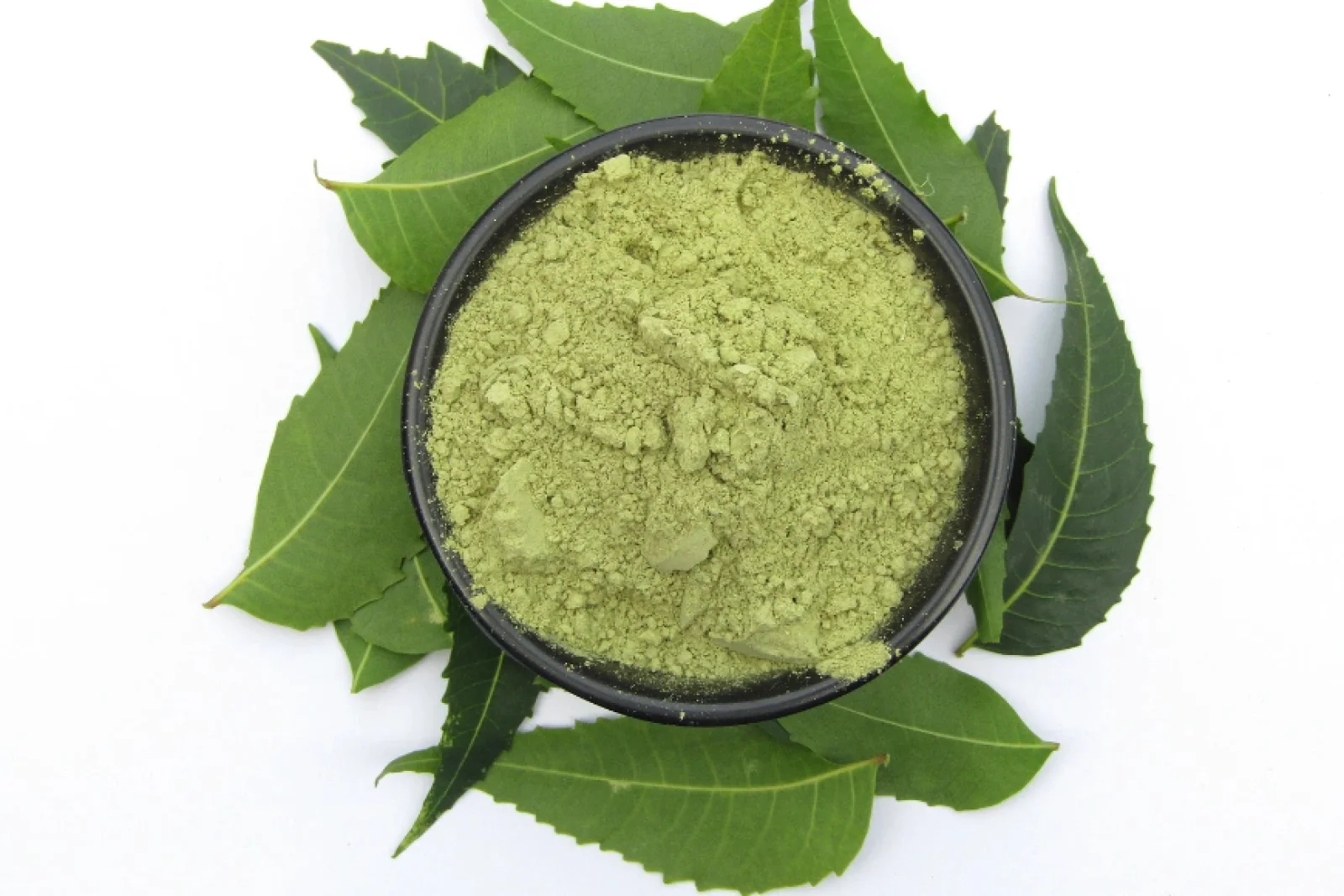 News Tv India Official 