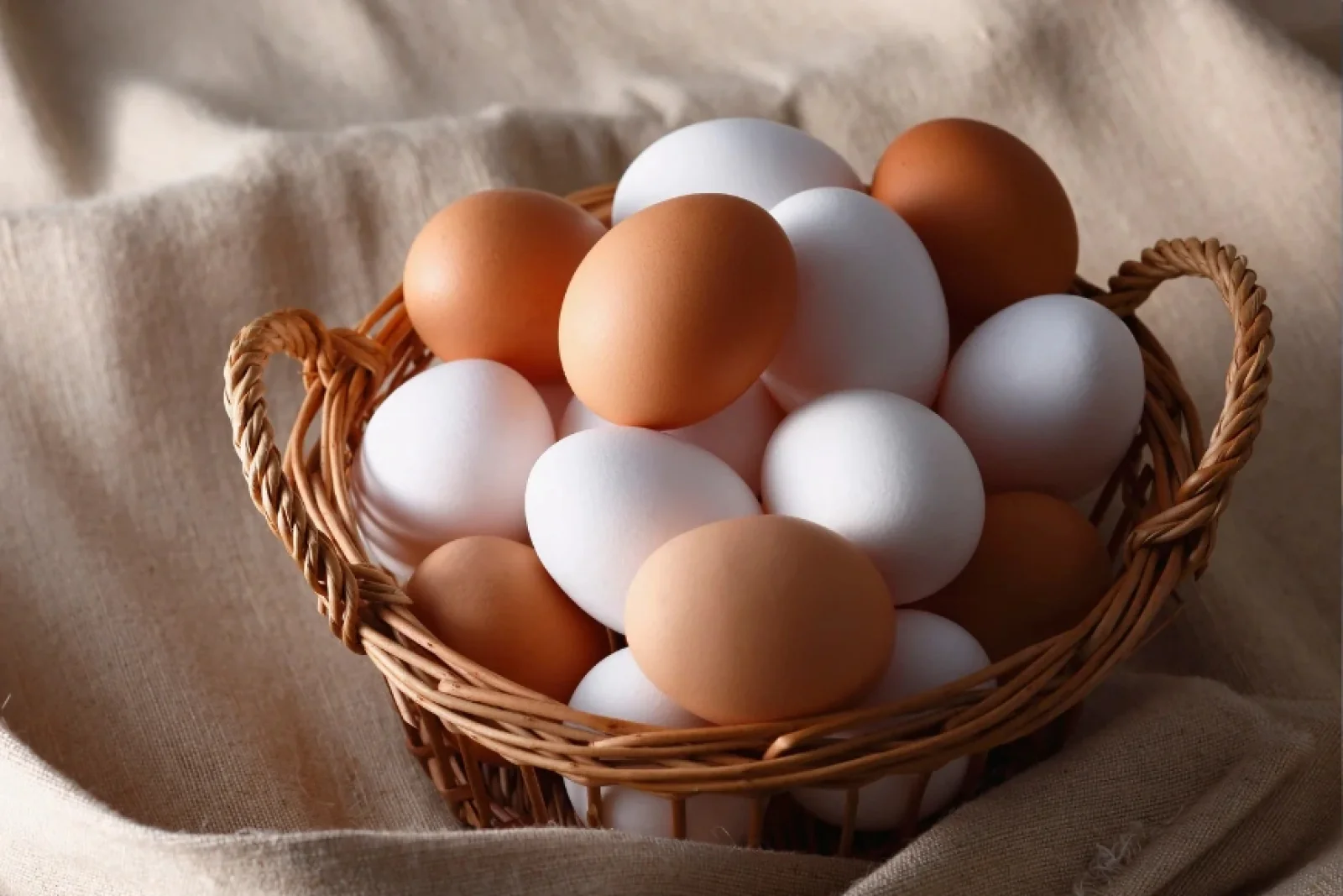 News Tv India Official 