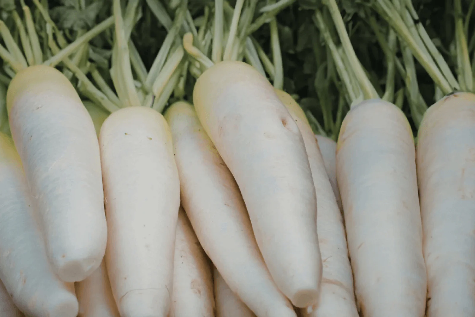 News Tv India Official 