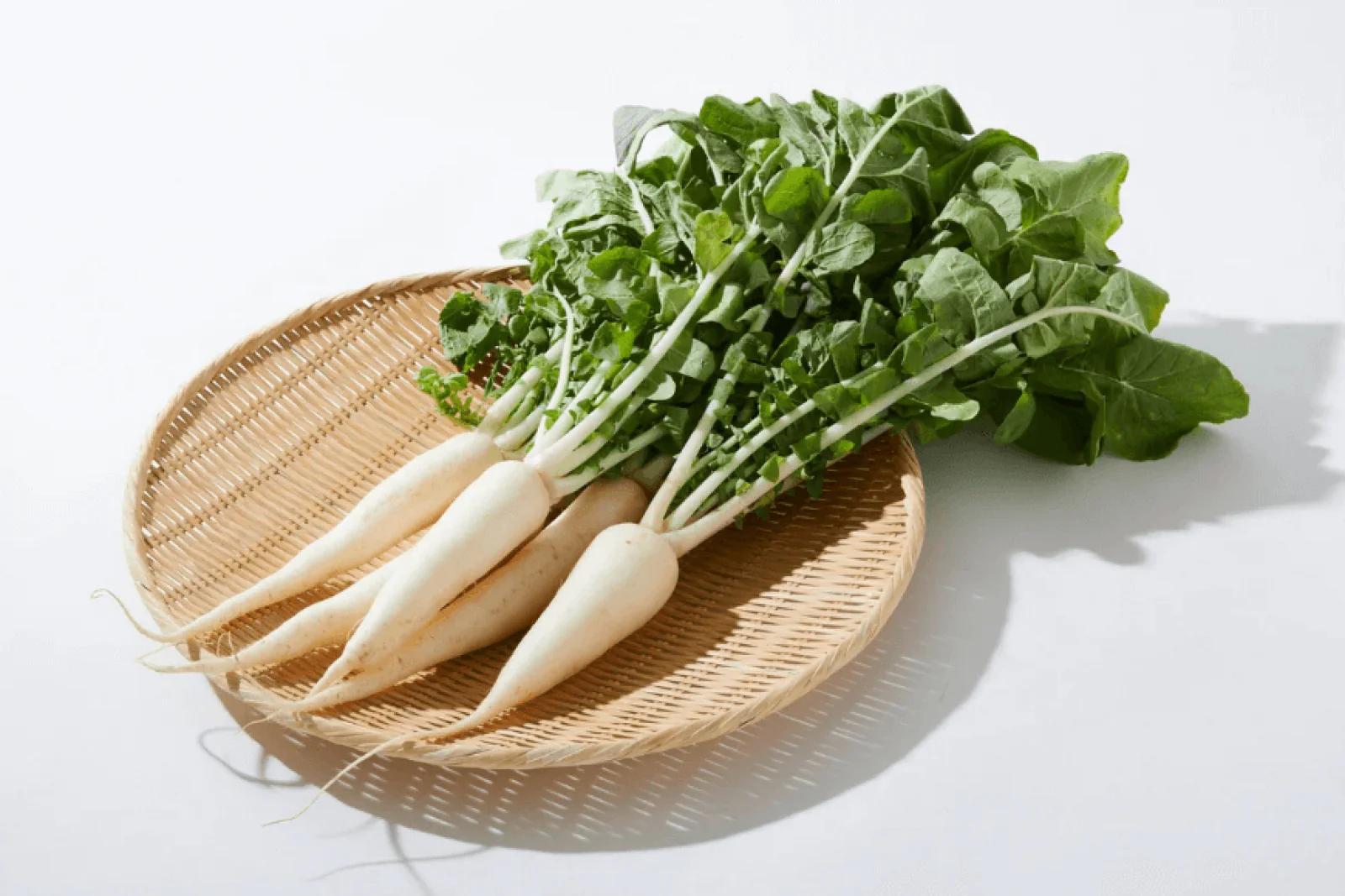 News Tv India Official 