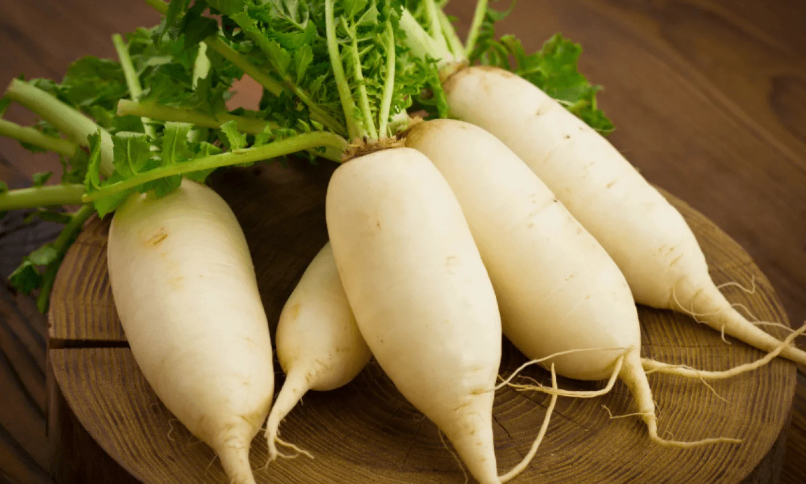 यह लोग भूल कर भी न खाएं मूली वरना हो सकता है हेल्थ को भारी नुकसान